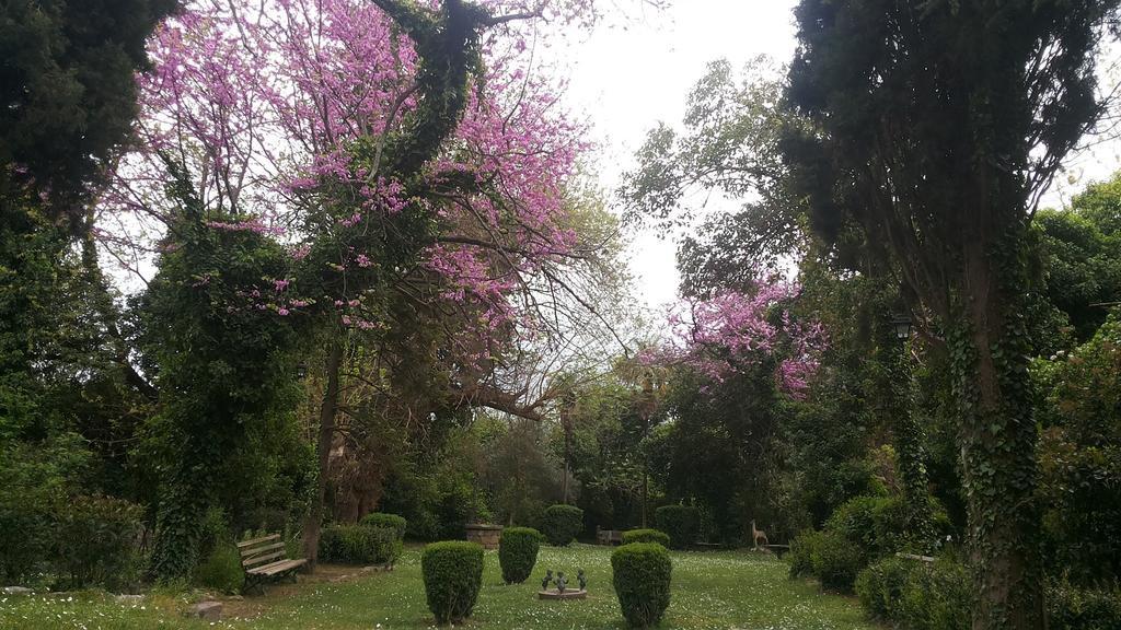 The Villa Averoff Kírinthos 部屋 写真