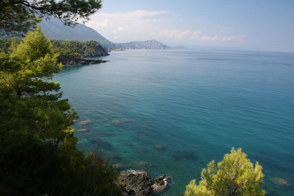 The Villa Averoff Kírinthos 部屋 写真